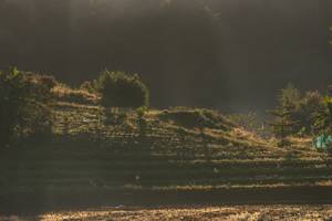 BIB: 
                            <button type="button" onclick="openModal(19376170)" class="btn btn-primary btn-sm float-right btn-popup" data-toggle="modal" data-target=".modal-high-quality">
                        <i class="fas fa-shopping-cart"></i> Add to Cart
                    </button>
                                            <button type="button" onclick="isThisMe(19376170, true)" class="btn btn-success btn-sm float-right btn-popup btn-isme hidden" data-toggle="tooltip" data-placement="bottom" title="นี่คือรูปของคุณใช่ไหม คลิกที่นี่เพื่อเอาเข้าอัลบั้ม">
                        <i class="fas fa-plus"></i> Add to album
                    </button>
                    <button type="button" onclick="isThisMe(19376170, false)" class="btn btn-warning btn-sm float-right btn-popup btn-isnotme hidden">
                        <i class="fas fa-ban"></i> Remove from album
                    </button>