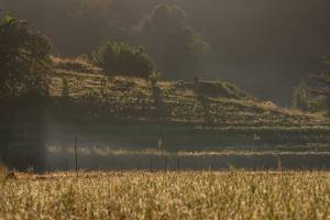 BIB: 
                            <button type="button" onclick="openModal(19376195)" class="btn btn-primary btn-sm float-right btn-popup" data-toggle="modal" data-target=".modal-high-quality">
                        <i class="fas fa-shopping-cart"></i> Add to Cart
                    </button>
                                            <button type="button" onclick="isThisMe(19376195, true)" class="btn btn-success btn-sm float-right btn-popup btn-isme hidden" data-toggle="tooltip" data-placement="bottom" title="นี่คือรูปของคุณใช่ไหม คลิกที่นี่เพื่อเอาเข้าอัลบั้ม">
                        <i class="fas fa-plus"></i> Add to album
                    </button>
                    <button type="button" onclick="isThisMe(19376195, false)" class="btn btn-warning btn-sm float-right btn-popup btn-isnotme hidden">
                        <i class="fas fa-ban"></i> Remove from album
                    </button>