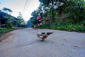 BIB: 
                            <button type="button" onclick="openModal(19376959)" class="btn btn-primary btn-sm float-right btn-popup" data-toggle="modal" data-target=".modal-high-quality">
                        <i class="fas fa-shopping-cart"></i> Add to Cart
                    </button>
                                            <button type="button" onclick="isThisMe(19376959, true)" class="btn btn-success btn-sm float-right btn-popup btn-isme hidden" data-toggle="tooltip" data-placement="bottom" title="นี่คือรูปของคุณใช่ไหม คลิกที่นี่เพื่อเอาเข้าอัลบั้ม">
                        <i class="fas fa-plus"></i> Add to album
                    </button>
                    <button type="button" onclick="isThisMe(19376959, false)" class="btn btn-warning btn-sm float-right btn-popup btn-isnotme hidden">
                        <i class="fas fa-ban"></i> Remove from album
                    </button>