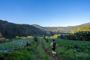 BIB: 
                            <button type="button" onclick="openModal(19376875)" class="btn btn-primary btn-sm float-right btn-popup" data-toggle="modal" data-target=".modal-high-quality">
                        <i class="fas fa-shopping-cart"></i> Add to Cart
                    </button>
                                            <button type="button" onclick="isThisMe(19376875, true)" class="btn btn-success btn-sm float-right btn-popup btn-isme hidden" data-toggle="tooltip" data-placement="bottom" title="นี่คือรูปของคุณใช่ไหม คลิกที่นี่เพื่อเอาเข้าอัลบั้ม">
                        <i class="fas fa-plus"></i> Add to album
                    </button>
                    <button type="button" onclick="isThisMe(19376875, false)" class="btn btn-warning btn-sm float-right btn-popup btn-isnotme hidden">
                        <i class="fas fa-ban"></i> Remove from album
                    </button>