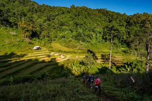 BIB: 
                            <button type="button" onclick="openModal(19377076)" class="btn btn-primary btn-sm float-right btn-popup" data-toggle="modal" data-target=".modal-high-quality">
                        <i class="fas fa-shopping-cart"></i> Add to Cart
                    </button>
                                            <button type="button" onclick="isThisMe(19377076, true)" class="btn btn-success btn-sm float-right btn-popup btn-isme hidden" data-toggle="tooltip" data-placement="bottom" title="นี่คือรูปของคุณใช่ไหม คลิกที่นี่เพื่อเอาเข้าอัลบั้ม">
                        <i class="fas fa-plus"></i> Add to album
                    </button>
                    <button type="button" onclick="isThisMe(19377076, false)" class="btn btn-warning btn-sm float-right btn-popup btn-isnotme hidden">
                        <i class="fas fa-ban"></i> Remove from album
                    </button>