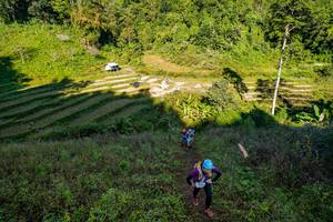 BIB: 
                            <button type="button" onclick="openModal(19377075)" class="btn btn-primary btn-sm float-right btn-popup" data-toggle="modal" data-target=".modal-high-quality">
                        <i class="fas fa-shopping-cart"></i> Add to Cart
                    </button>
                                            <button type="button" onclick="isThisMe(19377075, true)" class="btn btn-success btn-sm float-right btn-popup btn-isme hidden" data-toggle="tooltip" data-placement="bottom" title="นี่คือรูปของคุณใช่ไหม คลิกที่นี่เพื่อเอาเข้าอัลบั้ม">
                        <i class="fas fa-plus"></i> Add to album
                    </button>
                    <button type="button" onclick="isThisMe(19377075, false)" class="btn btn-warning btn-sm float-right btn-popup btn-isnotme hidden">
                        <i class="fas fa-ban"></i> Remove from album
                    </button>