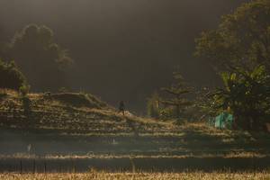 BIB: 
                            <button type="button" onclick="openModal(19376184)" class="btn btn-primary btn-sm float-right btn-popup" data-toggle="modal" data-target=".modal-high-quality">
                        <i class="fas fa-shopping-cart"></i> Add to Cart
                    </button>
                                            <button type="button" onclick="isThisMe(19376184, true)" class="btn btn-success btn-sm float-right btn-popup btn-isme hidden" data-toggle="tooltip" data-placement="bottom" title="นี่คือรูปของคุณใช่ไหม คลิกที่นี่เพื่อเอาเข้าอัลบั้ม">
                        <i class="fas fa-plus"></i> Add to album
                    </button>
                    <button type="button" onclick="isThisMe(19376184, false)" class="btn btn-warning btn-sm float-right btn-popup btn-isnotme hidden">
                        <i class="fas fa-ban"></i> Remove from album
                    </button>