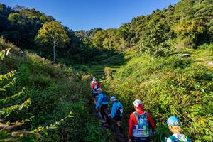 BIB: 
                            <button type="button" onclick="openModal(19377148)" class="btn btn-primary btn-sm float-right btn-popup" data-toggle="modal" data-target=".modal-high-quality">
                        <i class="fas fa-shopping-cart"></i> Add to Cart
                    </button>
                                            <button type="button" onclick="isThisMe(19377148, true)" class="btn btn-success btn-sm float-right btn-popup btn-isme hidden" data-toggle="tooltip" data-placement="bottom" title="นี่คือรูปของคุณใช่ไหม คลิกที่นี่เพื่อเอาเข้าอัลบั้ม">
                        <i class="fas fa-plus"></i> Add to album
                    </button>
                    <button type="button" onclick="isThisMe(19377148, false)" class="btn btn-warning btn-sm float-right btn-popup btn-isnotme hidden">
                        <i class="fas fa-ban"></i> Remove from album
                    </button>