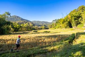 BIB: 
                            <button type="button" onclick="openModal(19376910)" class="btn btn-primary btn-sm float-right btn-popup" data-toggle="modal" data-target=".modal-high-quality">
                        <i class="fas fa-shopping-cart"></i> Add to Cart
                    </button>
                                            <button type="button" onclick="isThisMe(19376910, true)" class="btn btn-success btn-sm float-right btn-popup btn-isme hidden" data-toggle="tooltip" data-placement="bottom" title="นี่คือรูปของคุณใช่ไหม คลิกที่นี่เพื่อเอาเข้าอัลบั้ม">
                        <i class="fas fa-plus"></i> Add to album
                    </button>
                    <button type="button" onclick="isThisMe(19376910, false)" class="btn btn-warning btn-sm float-right btn-popup btn-isnotme hidden">
                        <i class="fas fa-ban"></i> Remove from album
                    </button>