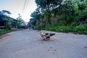 BIB: 
                            <button type="button" onclick="openModal(19376955)" class="btn btn-primary btn-sm float-right btn-popup" data-toggle="modal" data-target=".modal-high-quality">
                        <i class="fas fa-shopping-cart"></i> Add to Cart
                    </button>
                                            <button type="button" onclick="isThisMe(19376955, true)" class="btn btn-success btn-sm float-right btn-popup btn-isme hidden" data-toggle="tooltip" data-placement="bottom" title="นี่คือรูปของคุณใช่ไหม คลิกที่นี่เพื่อเอาเข้าอัลบั้ม">
                        <i class="fas fa-plus"></i> Add to album
                    </button>
                    <button type="button" onclick="isThisMe(19376955, false)" class="btn btn-warning btn-sm float-right btn-popup btn-isnotme hidden">
                        <i class="fas fa-ban"></i> Remove from album
                    </button>