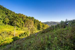 BIB: 
                            <button type="button" onclick="openModal(19377079)" class="btn btn-primary btn-sm float-right btn-popup" data-toggle="modal" data-target=".modal-high-quality">
                        <i class="fas fa-shopping-cart"></i> Add to Cart
                    </button>
                                            <button type="button" onclick="isThisMe(19377079, true)" class="btn btn-success btn-sm float-right btn-popup btn-isme hidden" data-toggle="tooltip" data-placement="bottom" title="นี่คือรูปของคุณใช่ไหม คลิกที่นี่เพื่อเอาเข้าอัลบั้ม">
                        <i class="fas fa-plus"></i> Add to album
                    </button>
                    <button type="button" onclick="isThisMe(19377079, false)" class="btn btn-warning btn-sm float-right btn-popup btn-isnotme hidden">
                        <i class="fas fa-ban"></i> Remove from album
                    </button>