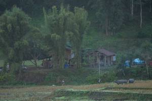 BIB: 
                            <button type="button" onclick="openModal(19376161)" class="btn btn-primary btn-sm float-right btn-popup" data-toggle="modal" data-target=".modal-high-quality">
                        <i class="fas fa-shopping-cart"></i> Add to Cart
                    </button>
                                            <button type="button" onclick="isThisMe(19376161, true)" class="btn btn-success btn-sm float-right btn-popup btn-isme hidden" data-toggle="tooltip" data-placement="bottom" title="นี่คือรูปของคุณใช่ไหม คลิกที่นี่เพื่อเอาเข้าอัลบั้ม">
                        <i class="fas fa-plus"></i> Add to album
                    </button>
                    <button type="button" onclick="isThisMe(19376161, false)" class="btn btn-warning btn-sm float-right btn-popup btn-isnotme hidden">
                        <i class="fas fa-ban"></i> Remove from album
                    </button>