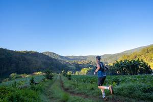 BIB: 
                            <button type="button" onclick="openModal(19376870)" class="btn btn-primary btn-sm float-right btn-popup" data-toggle="modal" data-target=".modal-high-quality">
                        <i class="fas fa-shopping-cart"></i> Add to Cart
                    </button>
                                            <button type="button" onclick="isThisMe(19376870, true)" class="btn btn-success btn-sm float-right btn-popup btn-isme hidden" data-toggle="tooltip" data-placement="bottom" title="นี่คือรูปของคุณใช่ไหม คลิกที่นี่เพื่อเอาเข้าอัลบั้ม">
                        <i class="fas fa-plus"></i> Add to album
                    </button>
                    <button type="button" onclick="isThisMe(19376870, false)" class="btn btn-warning btn-sm float-right btn-popup btn-isnotme hidden">
                        <i class="fas fa-ban"></i> Remove from album
                    </button>