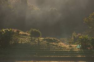 BIB: 
                            <button type="button" onclick="openModal(19376164)" class="btn btn-primary btn-sm float-right btn-popup" data-toggle="modal" data-target=".modal-high-quality">
                        <i class="fas fa-shopping-cart"></i> Add to Cart
                    </button>
                                            <button type="button" onclick="isThisMe(19376164, true)" class="btn btn-success btn-sm float-right btn-popup btn-isme hidden" data-toggle="tooltip" data-placement="bottom" title="นี่คือรูปของคุณใช่ไหม คลิกที่นี่เพื่อเอาเข้าอัลบั้ม">
                        <i class="fas fa-plus"></i> Add to album
                    </button>
                    <button type="button" onclick="isThisMe(19376164, false)" class="btn btn-warning btn-sm float-right btn-popup btn-isnotme hidden">
                        <i class="fas fa-ban"></i> Remove from album
                    </button>