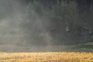 BIB: 
                            <button type="button" onclick="openModal(19376208)" class="btn btn-primary btn-sm float-right btn-popup" data-toggle="modal" data-target=".modal-high-quality">
                        <i class="fas fa-shopping-cart"></i> Add to Cart
                    </button>
                                            <button type="button" onclick="isThisMe(19376208, true)" class="btn btn-success btn-sm float-right btn-popup btn-isme hidden" data-toggle="tooltip" data-placement="bottom" title="นี่คือรูปของคุณใช่ไหม คลิกที่นี่เพื่อเอาเข้าอัลบั้ม">
                        <i class="fas fa-plus"></i> Add to album
                    </button>
                    <button type="button" onclick="isThisMe(19376208, false)" class="btn btn-warning btn-sm float-right btn-popup btn-isnotme hidden">
                        <i class="fas fa-ban"></i> Remove from album
                    </button>