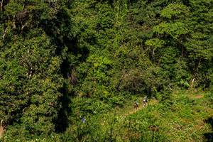 BIB: 
                            <button type="button" onclick="openModal(19376304)" class="btn btn-primary btn-sm float-right btn-popup" data-toggle="modal" data-target=".modal-high-quality">
                        <i class="fas fa-shopping-cart"></i> Add to Cart
                    </button>
                                            <button type="button" onclick="isThisMe(19376304, true)" class="btn btn-success btn-sm float-right btn-popup btn-isme hidden" data-toggle="tooltip" data-placement="bottom" title="นี่คือรูปของคุณใช่ไหม คลิกที่นี่เพื่อเอาเข้าอัลบั้ม">
                        <i class="fas fa-plus"></i> Add to album
                    </button>
                    <button type="button" onclick="isThisMe(19376304, false)" class="btn btn-warning btn-sm float-right btn-popup btn-isnotme hidden">
                        <i class="fas fa-ban"></i> Remove from album
                    </button>