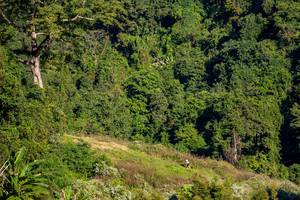 BIB: 
                            <button type="button" onclick="openModal(19376329)" class="btn btn-primary btn-sm float-right btn-popup" data-toggle="modal" data-target=".modal-high-quality">
                        <i class="fas fa-shopping-cart"></i> Add to Cart
                    </button>
                                            <button type="button" onclick="isThisMe(19376329, true)" class="btn btn-success btn-sm float-right btn-popup btn-isme hidden" data-toggle="tooltip" data-placement="bottom" title="นี่คือรูปของคุณใช่ไหม คลิกที่นี่เพื่อเอาเข้าอัลบั้ม">
                        <i class="fas fa-plus"></i> Add to album
                    </button>
                    <button type="button" onclick="isThisMe(19376329, false)" class="btn btn-warning btn-sm float-right btn-popup btn-isnotme hidden">
                        <i class="fas fa-ban"></i> Remove from album
                    </button>