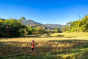 BIB: 
                            <button type="button" onclick="openModal(19376920)" class="btn btn-primary btn-sm float-right btn-popup" data-toggle="modal" data-target=".modal-high-quality">
                        <i class="fas fa-shopping-cart"></i> Add to Cart
                    </button>
                                            <button type="button" onclick="isThisMe(19376920, true)" class="btn btn-success btn-sm float-right btn-popup btn-isme hidden" data-toggle="tooltip" data-placement="bottom" title="นี่คือรูปของคุณใช่ไหม คลิกที่นี่เพื่อเอาเข้าอัลบั้ม">
                        <i class="fas fa-plus"></i> Add to album
                    </button>
                    <button type="button" onclick="isThisMe(19376920, false)" class="btn btn-warning btn-sm float-right btn-popup btn-isnotme hidden">
                        <i class="fas fa-ban"></i> Remove from album
                    </button>