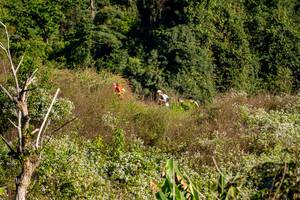 BIB: 
                            <button type="button" onclick="openModal(19376341)" class="btn btn-primary btn-sm float-right btn-popup" data-toggle="modal" data-target=".modal-high-quality">
                        <i class="fas fa-shopping-cart"></i> Add to Cart
                    </button>
                                            <button type="button" onclick="isThisMe(19376341, true)" class="btn btn-success btn-sm float-right btn-popup btn-isme hidden" data-toggle="tooltip" data-placement="bottom" title="นี่คือรูปของคุณใช่ไหม คลิกที่นี่เพื่อเอาเข้าอัลบั้ม">
                        <i class="fas fa-plus"></i> Add to album
                    </button>
                    <button type="button" onclick="isThisMe(19376341, false)" class="btn btn-warning btn-sm float-right btn-popup btn-isnotme hidden">
                        <i class="fas fa-ban"></i> Remove from album
                    </button>