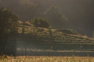 BIB: 
                            <button type="button" onclick="openModal(19376199)" class="btn btn-primary btn-sm float-right btn-popup" data-toggle="modal" data-target=".modal-high-quality">
                        <i class="fas fa-shopping-cart"></i> Add to Cart
                    </button>
                                            <button type="button" onclick="isThisMe(19376199, true)" class="btn btn-success btn-sm float-right btn-popup btn-isme hidden" data-toggle="tooltip" data-placement="bottom" title="นี่คือรูปของคุณใช่ไหม คลิกที่นี่เพื่อเอาเข้าอัลบั้ม">
                        <i class="fas fa-plus"></i> Add to album
                    </button>
                    <button type="button" onclick="isThisMe(19376199, false)" class="btn btn-warning btn-sm float-right btn-popup btn-isnotme hidden">
                        <i class="fas fa-ban"></i> Remove from album
                    </button>