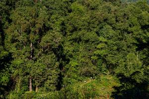 BIB: 
                            <button type="button" onclick="openModal(19376307)" class="btn btn-primary btn-sm float-right btn-popup" data-toggle="modal" data-target=".modal-high-quality">
                        <i class="fas fa-shopping-cart"></i> Add to Cart
                    </button>
                                            <button type="button" onclick="isThisMe(19376307, true)" class="btn btn-success btn-sm float-right btn-popup btn-isme hidden" data-toggle="tooltip" data-placement="bottom" title="นี่คือรูปของคุณใช่ไหม คลิกที่นี่เพื่อเอาเข้าอัลบั้ม">
                        <i class="fas fa-plus"></i> Add to album
                    </button>
                    <button type="button" onclick="isThisMe(19376307, false)" class="btn btn-warning btn-sm float-right btn-popup btn-isnotme hidden">
                        <i class="fas fa-ban"></i> Remove from album
                    </button>