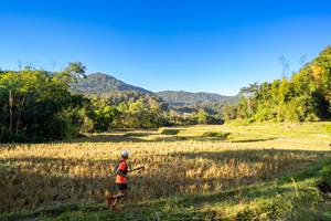 BIB: 
                            <button type="button" onclick="openModal(19376918)" class="btn btn-primary btn-sm float-right btn-popup" data-toggle="modal" data-target=".modal-high-quality">
                        <i class="fas fa-shopping-cart"></i> Add to Cart
                    </button>
                                            <button type="button" onclick="isThisMe(19376918, true)" class="btn btn-success btn-sm float-right btn-popup btn-isme hidden" data-toggle="tooltip" data-placement="bottom" title="นี่คือรูปของคุณใช่ไหม คลิกที่นี่เพื่อเอาเข้าอัลบั้ม">
                        <i class="fas fa-plus"></i> Add to album
                    </button>
                    <button type="button" onclick="isThisMe(19376918, false)" class="btn btn-warning btn-sm float-right btn-popup btn-isnotme hidden">
                        <i class="fas fa-ban"></i> Remove from album
                    </button>