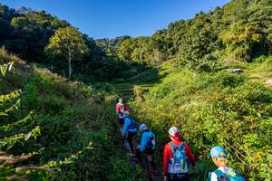 BIB: 
                            <button type="button" onclick="openModal(19377149)" class="btn btn-primary btn-sm float-right btn-popup" data-toggle="modal" data-target=".modal-high-quality">
                        <i class="fas fa-shopping-cart"></i> Add to Cart
                    </button>
                                            <button type="button" onclick="isThisMe(19377149, true)" class="btn btn-success btn-sm float-right btn-popup btn-isme hidden" data-toggle="tooltip" data-placement="bottom" title="นี่คือรูปของคุณใช่ไหม คลิกที่นี่เพื่อเอาเข้าอัลบั้ม">
                        <i class="fas fa-plus"></i> Add to album
                    </button>
                    <button type="button" onclick="isThisMe(19377149, false)" class="btn btn-warning btn-sm float-right btn-popup btn-isnotme hidden">
                        <i class="fas fa-ban"></i> Remove from album
                    </button>