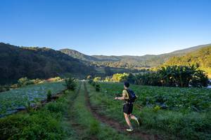 BIB: 
                            <button type="button" onclick="openModal(19376873)" class="btn btn-primary btn-sm float-right btn-popup" data-toggle="modal" data-target=".modal-high-quality">
                        <i class="fas fa-shopping-cart"></i> Add to Cart
                    </button>
                                            <button type="button" onclick="isThisMe(19376873, true)" class="btn btn-success btn-sm float-right btn-popup btn-isme hidden" data-toggle="tooltip" data-placement="bottom" title="นี่คือรูปของคุณใช่ไหม คลิกที่นี่เพื่อเอาเข้าอัลบั้ม">
                        <i class="fas fa-plus"></i> Add to album
                    </button>
                    <button type="button" onclick="isThisMe(19376873, false)" class="btn btn-warning btn-sm float-right btn-popup btn-isnotme hidden">
                        <i class="fas fa-ban"></i> Remove from album
                    </button>