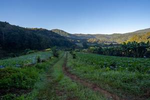 BIB: 
                            <button type="button" onclick="openModal(19376846)" class="btn btn-primary btn-sm float-right btn-popup" data-toggle="modal" data-target=".modal-high-quality">
                        <i class="fas fa-shopping-cart"></i> Add to Cart
                    </button>
                                            <button type="button" onclick="isThisMe(19376846, true)" class="btn btn-success btn-sm float-right btn-popup btn-isme hidden" data-toggle="tooltip" data-placement="bottom" title="นี่คือรูปของคุณใช่ไหม คลิกที่นี่เพื่อเอาเข้าอัลบั้ม">
                        <i class="fas fa-plus"></i> Add to album
                    </button>
                    <button type="button" onclick="isThisMe(19376846, false)" class="btn btn-warning btn-sm float-right btn-popup btn-isnotme hidden">
                        <i class="fas fa-ban"></i> Remove from album
                    </button>