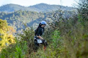 BIB: 
                            <button type="button" onclick="openModal(19376363)" class="btn btn-primary btn-sm float-right btn-popup" data-toggle="modal" data-target=".modal-high-quality">
                        <i class="fas fa-shopping-cart"></i> Add to Cart
                    </button>
                                            <button type="button" onclick="isThisMe(19376363, true)" class="btn btn-success btn-sm float-right btn-popup btn-isme hidden" data-toggle="tooltip" data-placement="bottom" title="นี่คือรูปของคุณใช่ไหม คลิกที่นี่เพื่อเอาเข้าอัลบั้ม">
                        <i class="fas fa-plus"></i> Add to album
                    </button>
                    <button type="button" onclick="isThisMe(19376363, false)" class="btn btn-warning btn-sm float-right btn-popup btn-isnotme hidden">
                        <i class="fas fa-ban"></i> Remove from album
                    </button>