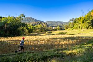 BIB: 
                            <button type="button" onclick="openModal(19376906)" class="btn btn-primary btn-sm float-right btn-popup" data-toggle="modal" data-target=".modal-high-quality">
                        <i class="fas fa-shopping-cart"></i> Add to Cart
                    </button>
                                            <button type="button" onclick="isThisMe(19376906, true)" class="btn btn-success btn-sm float-right btn-popup btn-isme hidden" data-toggle="tooltip" data-placement="bottom" title="นี่คือรูปของคุณใช่ไหม คลิกที่นี่เพื่อเอาเข้าอัลบั้ม">
                        <i class="fas fa-plus"></i> Add to album
                    </button>
                    <button type="button" onclick="isThisMe(19376906, false)" class="btn btn-warning btn-sm float-right btn-popup btn-isnotme hidden">
                        <i class="fas fa-ban"></i> Remove from album
                    </button>