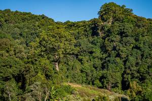 BIB: 
                            <button type="button" onclick="openModal(19376335)" class="btn btn-primary btn-sm float-right btn-popup" data-toggle="modal" data-target=".modal-high-quality">
                        <i class="fas fa-shopping-cart"></i> Add to Cart
                    </button>
                                            <button type="button" onclick="isThisMe(19376335, true)" class="btn btn-success btn-sm float-right btn-popup btn-isme hidden" data-toggle="tooltip" data-placement="bottom" title="นี่คือรูปของคุณใช่ไหม คลิกที่นี่เพื่อเอาเข้าอัลบั้ม">
                        <i class="fas fa-plus"></i> Add to album
                    </button>
                    <button type="button" onclick="isThisMe(19376335, false)" class="btn btn-warning btn-sm float-right btn-popup btn-isnotme hidden">
                        <i class="fas fa-ban"></i> Remove from album
                    </button>