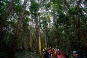 BIB: 
                            <button type="button" onclick="openModal(19376827)" class="btn btn-primary btn-sm float-right btn-popup" data-toggle="modal" data-target=".modal-high-quality">
                        <i class="fas fa-shopping-cart"></i> Add to Cart
                    </button>
                                            <button type="button" onclick="isThisMe(19376827, true)" class="btn btn-success btn-sm float-right btn-popup btn-isme hidden" data-toggle="tooltip" data-placement="bottom" title="นี่คือรูปของคุณใช่ไหม คลิกที่นี่เพื่อเอาเข้าอัลบั้ม">
                        <i class="fas fa-plus"></i> Add to album
                    </button>
                    <button type="button" onclick="isThisMe(19376827, false)" class="btn btn-warning btn-sm float-right btn-popup btn-isnotme hidden">
                        <i class="fas fa-ban"></i> Remove from album
                    </button>