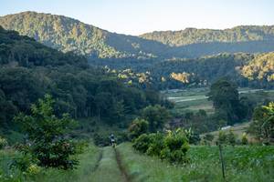 BIB: 
                            <button type="button" onclick="openModal(19376128)" class="btn btn-primary btn-sm float-right btn-popup" data-toggle="modal" data-target=".modal-high-quality">
                        <i class="fas fa-shopping-cart"></i> Add to Cart
                    </button>
                                            <button type="button" onclick="isThisMe(19376128, true)" class="btn btn-success btn-sm float-right btn-popup btn-isme hidden" data-toggle="tooltip" data-placement="bottom" title="นี่คือรูปของคุณใช่ไหม คลิกที่นี่เพื่อเอาเข้าอัลบั้ม">
                        <i class="fas fa-plus"></i> Add to album
                    </button>
                    <button type="button" onclick="isThisMe(19376128, false)" class="btn btn-warning btn-sm float-right btn-popup btn-isnotme hidden">
                        <i class="fas fa-ban"></i> Remove from album
                    </button>