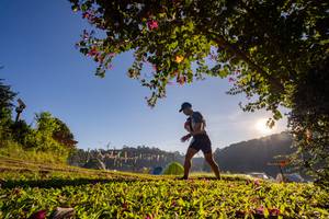 BIB: 
                            <button type="button" onclick="openModal(19376889)" class="btn btn-primary btn-sm float-right btn-popup" data-toggle="modal" data-target=".modal-high-quality">
                        <i class="fas fa-shopping-cart"></i> Add to Cart
                    </button>
                                            <button type="button" onclick="isThisMe(19376889, true)" class="btn btn-success btn-sm float-right btn-popup btn-isme hidden" data-toggle="tooltip" data-placement="bottom" title="นี่คือรูปของคุณใช่ไหม คลิกที่นี่เพื่อเอาเข้าอัลบั้ม">
                        <i class="fas fa-plus"></i> Add to album
                    </button>
                    <button type="button" onclick="isThisMe(19376889, false)" class="btn btn-warning btn-sm float-right btn-popup btn-isnotme hidden">
                        <i class="fas fa-ban"></i> Remove from album
                    </button>