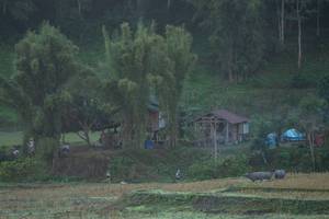 BIB: 
                            <button type="button" onclick="openModal(19376158)" class="btn btn-primary btn-sm float-right btn-popup" data-toggle="modal" data-target=".modal-high-quality">
                        <i class="fas fa-shopping-cart"></i> Add to Cart
                    </button>
                                            <button type="button" onclick="isThisMe(19376158, true)" class="btn btn-success btn-sm float-right btn-popup btn-isme hidden" data-toggle="tooltip" data-placement="bottom" title="นี่คือรูปของคุณใช่ไหม คลิกที่นี่เพื่อเอาเข้าอัลบั้ม">
                        <i class="fas fa-plus"></i> Add to album
                    </button>
                    <button type="button" onclick="isThisMe(19376158, false)" class="btn btn-warning btn-sm float-right btn-popup btn-isnotme hidden">
                        <i class="fas fa-ban"></i> Remove from album
                    </button>