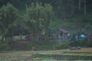 BIB: 
                            <button type="button" onclick="openModal(19376160)" class="btn btn-primary btn-sm float-right btn-popup" data-toggle="modal" data-target=".modal-high-quality">
                        <i class="fas fa-shopping-cart"></i> Add to Cart
                    </button>
                                            <button type="button" onclick="isThisMe(19376160, true)" class="btn btn-success btn-sm float-right btn-popup btn-isme hidden" data-toggle="tooltip" data-placement="bottom" title="นี่คือรูปของคุณใช่ไหม คลิกที่นี่เพื่อเอาเข้าอัลบั้ม">
                        <i class="fas fa-plus"></i> Add to album
                    </button>
                    <button type="button" onclick="isThisMe(19376160, false)" class="btn btn-warning btn-sm float-right btn-popup btn-isnotme hidden">
                        <i class="fas fa-ban"></i> Remove from album
                    </button>