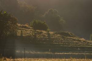 BIB: 
                            <button type="button" onclick="openModal(19376197)" class="btn btn-primary btn-sm float-right btn-popup" data-toggle="modal" data-target=".modal-high-quality">
                        <i class="fas fa-shopping-cart"></i> Add to Cart
                    </button>
                                            <button type="button" onclick="isThisMe(19376197, true)" class="btn btn-success btn-sm float-right btn-popup btn-isme hidden" data-toggle="tooltip" data-placement="bottom" title="นี่คือรูปของคุณใช่ไหม คลิกที่นี่เพื่อเอาเข้าอัลบั้ม">
                        <i class="fas fa-plus"></i> Add to album
                    </button>
                    <button type="button" onclick="isThisMe(19376197, false)" class="btn btn-warning btn-sm float-right btn-popup btn-isnotme hidden">
                        <i class="fas fa-ban"></i> Remove from album
                    </button>