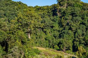 BIB: 
                            <button type="button" onclick="openModal(19376332)" class="btn btn-primary btn-sm float-right btn-popup" data-toggle="modal" data-target=".modal-high-quality">
                        <i class="fas fa-shopping-cart"></i> Add to Cart
                    </button>
                                            <button type="button" onclick="isThisMe(19376332, true)" class="btn btn-success btn-sm float-right btn-popup btn-isme hidden" data-toggle="tooltip" data-placement="bottom" title="นี่คือรูปของคุณใช่ไหม คลิกที่นี่เพื่อเอาเข้าอัลบั้ม">
                        <i class="fas fa-plus"></i> Add to album
                    </button>
                    <button type="button" onclick="isThisMe(19376332, false)" class="btn btn-warning btn-sm float-right btn-popup btn-isnotme hidden">
                        <i class="fas fa-ban"></i> Remove from album
                    </button>