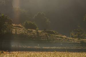 BIB: 
                            <button type="button" onclick="openModal(19376180)" class="btn btn-primary btn-sm float-right btn-popup" data-toggle="modal" data-target=".modal-high-quality">
                        <i class="fas fa-shopping-cart"></i> Add to Cart
                    </button>
                                            <button type="button" onclick="isThisMe(19376180, true)" class="btn btn-success btn-sm float-right btn-popup btn-isme hidden" data-toggle="tooltip" data-placement="bottom" title="นี่คือรูปของคุณใช่ไหม คลิกที่นี่เพื่อเอาเข้าอัลบั้ม">
                        <i class="fas fa-plus"></i> Add to album
                    </button>
                    <button type="button" onclick="isThisMe(19376180, false)" class="btn btn-warning btn-sm float-right btn-popup btn-isnotme hidden">
                        <i class="fas fa-ban"></i> Remove from album
                    </button>