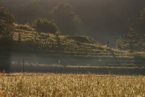 BIB: 
                            <button type="button" onclick="openModal(19376188)" class="btn btn-primary btn-sm float-right btn-popup" data-toggle="modal" data-target=".modal-high-quality">
                        <i class="fas fa-shopping-cart"></i> Add to Cart
                    </button>
                                            <button type="button" onclick="isThisMe(19376188, true)" class="btn btn-success btn-sm float-right btn-popup btn-isme hidden" data-toggle="tooltip" data-placement="bottom" title="นี่คือรูปของคุณใช่ไหม คลิกที่นี่เพื่อเอาเข้าอัลบั้ม">
                        <i class="fas fa-plus"></i> Add to album
                    </button>
                    <button type="button" onclick="isThisMe(19376188, false)" class="btn btn-warning btn-sm float-right btn-popup btn-isnotme hidden">
                        <i class="fas fa-ban"></i> Remove from album
                    </button>