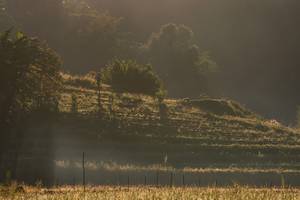 BIB: 
                            <button type="button" onclick="openModal(19376196)" class="btn btn-primary btn-sm float-right btn-popup" data-toggle="modal" data-target=".modal-high-quality">
                        <i class="fas fa-shopping-cart"></i> Add to Cart
                    </button>
                                            <button type="button" onclick="isThisMe(19376196, true)" class="btn btn-success btn-sm float-right btn-popup btn-isme hidden" data-toggle="tooltip" data-placement="bottom" title="นี่คือรูปของคุณใช่ไหม คลิกที่นี่เพื่อเอาเข้าอัลบั้ม">
                        <i class="fas fa-plus"></i> Add to album
                    </button>
                    <button type="button" onclick="isThisMe(19376196, false)" class="btn btn-warning btn-sm float-right btn-popup btn-isnotme hidden">
                        <i class="fas fa-ban"></i> Remove from album
                    </button>