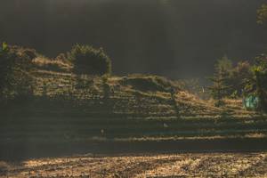 BIB: 
                            <button type="button" onclick="openModal(19376174)" class="btn btn-primary btn-sm float-right btn-popup" data-toggle="modal" data-target=".modal-high-quality">
                        <i class="fas fa-shopping-cart"></i> Add to Cart
                    </button>
                                            <button type="button" onclick="isThisMe(19376174, true)" class="btn btn-success btn-sm float-right btn-popup btn-isme hidden" data-toggle="tooltip" data-placement="bottom" title="นี่คือรูปของคุณใช่ไหม คลิกที่นี่เพื่อเอาเข้าอัลบั้ม">
                        <i class="fas fa-plus"></i> Add to album
                    </button>
                    <button type="button" onclick="isThisMe(19376174, false)" class="btn btn-warning btn-sm float-right btn-popup btn-isnotme hidden">
                        <i class="fas fa-ban"></i> Remove from album
                    </button>