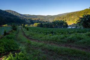 BIB: 
                            <button type="button" onclick="openModal(19376855)" class="btn btn-primary btn-sm float-right btn-popup" data-toggle="modal" data-target=".modal-high-quality">
                        <i class="fas fa-shopping-cart"></i> Add to Cart
                    </button>
                                            <button type="button" onclick="isThisMe(19376855, true)" class="btn btn-success btn-sm float-right btn-popup btn-isme hidden" data-toggle="tooltip" data-placement="bottom" title="นี่คือรูปของคุณใช่ไหม คลิกที่นี่เพื่อเอาเข้าอัลบั้ม">
                        <i class="fas fa-plus"></i> Add to album
                    </button>
                    <button type="button" onclick="isThisMe(19376855, false)" class="btn btn-warning btn-sm float-right btn-popup btn-isnotme hidden">
                        <i class="fas fa-ban"></i> Remove from album
                    </button>