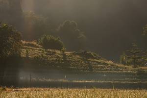 BIB: 
                            <button type="button" onclick="openModal(19376185)" class="btn btn-primary btn-sm float-right btn-popup" data-toggle="modal" data-target=".modal-high-quality">
                        <i class="fas fa-shopping-cart"></i> Add to Cart
                    </button>
                                            <button type="button" onclick="isThisMe(19376185, true)" class="btn btn-success btn-sm float-right btn-popup btn-isme hidden" data-toggle="tooltip" data-placement="bottom" title="นี่คือรูปของคุณใช่ไหม คลิกที่นี่เพื่อเอาเข้าอัลบั้ม">
                        <i class="fas fa-plus"></i> Add to album
                    </button>
                    <button type="button" onclick="isThisMe(19376185, false)" class="btn btn-warning btn-sm float-right btn-popup btn-isnotme hidden">
                        <i class="fas fa-ban"></i> Remove from album
                    </button>