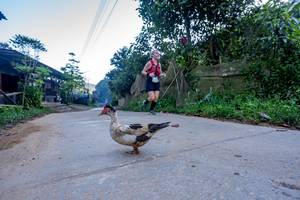 BIB: 
                            <button type="button" onclick="openModal(19376961)" class="btn btn-primary btn-sm float-right btn-popup" data-toggle="modal" data-target=".modal-high-quality">
                        <i class="fas fa-shopping-cart"></i> Add to Cart
                    </button>
                                            <button type="button" onclick="isThisMe(19376961, true)" class="btn btn-success btn-sm float-right btn-popup btn-isme hidden" data-toggle="tooltip" data-placement="bottom" title="นี่คือรูปของคุณใช่ไหม คลิกที่นี่เพื่อเอาเข้าอัลบั้ม">
                        <i class="fas fa-plus"></i> Add to album
                    </button>
                    <button type="button" onclick="isThisMe(19376961, false)" class="btn btn-warning btn-sm float-right btn-popup btn-isnotme hidden">
                        <i class="fas fa-ban"></i> Remove from album
                    </button>