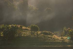 BIB: 
                            <button type="button" onclick="openModal(19376163)" class="btn btn-primary btn-sm float-right btn-popup" data-toggle="modal" data-target=".modal-high-quality">
                        <i class="fas fa-shopping-cart"></i> Add to Cart
                    </button>
                                            <button type="button" onclick="isThisMe(19376163, true)" class="btn btn-success btn-sm float-right btn-popup btn-isme hidden" data-toggle="tooltip" data-placement="bottom" title="นี่คือรูปของคุณใช่ไหม คลิกที่นี่เพื่อเอาเข้าอัลบั้ม">
                        <i class="fas fa-plus"></i> Add to album
                    </button>
                    <button type="button" onclick="isThisMe(19376163, false)" class="btn btn-warning btn-sm float-right btn-popup btn-isnotme hidden">
                        <i class="fas fa-ban"></i> Remove from album
                    </button>