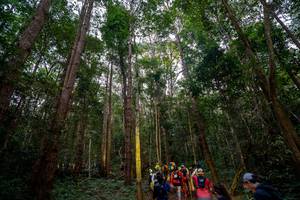 BIB: 
                            <button type="button" onclick="openModal(19376829)" class="btn btn-primary btn-sm float-right btn-popup" data-toggle="modal" data-target=".modal-high-quality">
                        <i class="fas fa-shopping-cart"></i> Add to Cart
                    </button>
                                            <button type="button" onclick="isThisMe(19376829, true)" class="btn btn-success btn-sm float-right btn-popup btn-isme hidden" data-toggle="tooltip" data-placement="bottom" title="นี่คือรูปของคุณใช่ไหม คลิกที่นี่เพื่อเอาเข้าอัลบั้ม">
                        <i class="fas fa-plus"></i> Add to album
                    </button>
                    <button type="button" onclick="isThisMe(19376829, false)" class="btn btn-warning btn-sm float-right btn-popup btn-isnotme hidden">
                        <i class="fas fa-ban"></i> Remove from album
                    </button>