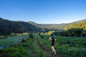 BIB: 
                            <button type="button" onclick="openModal(19376874)" class="btn btn-primary btn-sm float-right btn-popup" data-toggle="modal" data-target=".modal-high-quality">
                        <i class="fas fa-shopping-cart"></i> Add to Cart
                    </button>
                                            <button type="button" onclick="isThisMe(19376874, true)" class="btn btn-success btn-sm float-right btn-popup btn-isme hidden" data-toggle="tooltip" data-placement="bottom" title="นี่คือรูปของคุณใช่ไหม คลิกที่นี่เพื่อเอาเข้าอัลบั้ม">
                        <i class="fas fa-plus"></i> Add to album
                    </button>
                    <button type="button" onclick="isThisMe(19376874, false)" class="btn btn-warning btn-sm float-right btn-popup btn-isnotme hidden">
                        <i class="fas fa-ban"></i> Remove from album
                    </button>