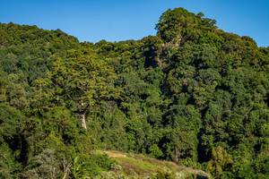 BIB: 
                            <button type="button" onclick="openModal(19376330)" class="btn btn-primary btn-sm float-right btn-popup" data-toggle="modal" data-target=".modal-high-quality">
                        <i class="fas fa-shopping-cart"></i> Add to Cart
                    </button>
                                            <button type="button" onclick="isThisMe(19376330, true)" class="btn btn-success btn-sm float-right btn-popup btn-isme hidden" data-toggle="tooltip" data-placement="bottom" title="นี่คือรูปของคุณใช่ไหม คลิกที่นี่เพื่อเอาเข้าอัลบั้ม">
                        <i class="fas fa-plus"></i> Add to album
                    </button>
                    <button type="button" onclick="isThisMe(19376330, false)" class="btn btn-warning btn-sm float-right btn-popup btn-isnotme hidden">
                        <i class="fas fa-ban"></i> Remove from album
                    </button>