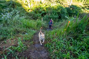 BIB: 
                            <button type="button" onclick="openModal(19377045)" class="btn btn-primary btn-sm float-right btn-popup" data-toggle="modal" data-target=".modal-high-quality">
                        <i class="fas fa-shopping-cart"></i> Add to Cart
                    </button>
                                            <button type="button" onclick="isThisMe(19377045, true)" class="btn btn-success btn-sm float-right btn-popup btn-isme hidden" data-toggle="tooltip" data-placement="bottom" title="นี่คือรูปของคุณใช่ไหม คลิกที่นี่เพื่อเอาเข้าอัลบั้ม">
                        <i class="fas fa-plus"></i> Add to album
                    </button>
                    <button type="button" onclick="isThisMe(19377045, false)" class="btn btn-warning btn-sm float-right btn-popup btn-isnotme hidden">
                        <i class="fas fa-ban"></i> Remove from album
                    </button>