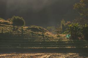 BIB: 
                            <button type="button" onclick="openModal(19376165)" class="btn btn-primary btn-sm float-right btn-popup" data-toggle="modal" data-target=".modal-high-quality">
                        <i class="fas fa-shopping-cart"></i> Add to Cart
                    </button>
                                            <button type="button" onclick="isThisMe(19376165, true)" class="btn btn-success btn-sm float-right btn-popup btn-isme hidden" data-toggle="tooltip" data-placement="bottom" title="นี่คือรูปของคุณใช่ไหม คลิกที่นี่เพื่อเอาเข้าอัลบั้ม">
                        <i class="fas fa-plus"></i> Add to album
                    </button>
                    <button type="button" onclick="isThisMe(19376165, false)" class="btn btn-warning btn-sm float-right btn-popup btn-isnotme hidden">
                        <i class="fas fa-ban"></i> Remove from album
                    </button>