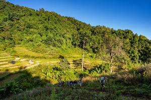 BIB: 
                            <button type="button" onclick="openModal(19377089)" class="btn btn-primary btn-sm float-right btn-popup" data-toggle="modal" data-target=".modal-high-quality">
                        <i class="fas fa-shopping-cart"></i> Add to Cart
                    </button>
                                            <button type="button" onclick="isThisMe(19377089, true)" class="btn btn-success btn-sm float-right btn-popup btn-isme hidden" data-toggle="tooltip" data-placement="bottom" title="นี่คือรูปของคุณใช่ไหม คลิกที่นี่เพื่อเอาเข้าอัลบั้ม">
                        <i class="fas fa-plus"></i> Add to album
                    </button>
                    <button type="button" onclick="isThisMe(19377089, false)" class="btn btn-warning btn-sm float-right btn-popup btn-isnotme hidden">
                        <i class="fas fa-ban"></i> Remove from album
                    </button>