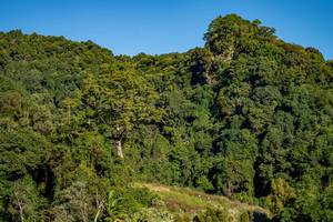 BIB: 
                            <button type="button" onclick="openModal(19376334)" class="btn btn-primary btn-sm float-right btn-popup" data-toggle="modal" data-target=".modal-high-quality">
                        <i class="fas fa-shopping-cart"></i> Add to Cart
                    </button>
                                            <button type="button" onclick="isThisMe(19376334, true)" class="btn btn-success btn-sm float-right btn-popup btn-isme hidden" data-toggle="tooltip" data-placement="bottom" title="นี่คือรูปของคุณใช่ไหม คลิกที่นี่เพื่อเอาเข้าอัลบั้ม">
                        <i class="fas fa-plus"></i> Add to album
                    </button>
                    <button type="button" onclick="isThisMe(19376334, false)" class="btn btn-warning btn-sm float-right btn-popup btn-isnotme hidden">
                        <i class="fas fa-ban"></i> Remove from album
                    </button>